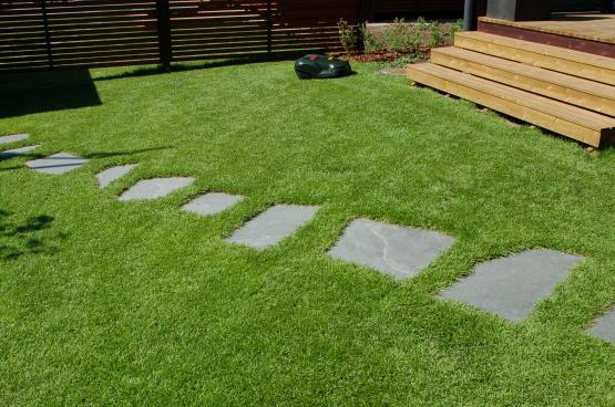 Alta kvartsiit, vabakujuline plaat