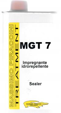 MGT 7
